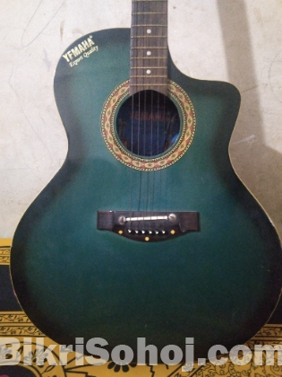 ইনডিয়ান ইয়ামাহা ব্যান্ডের গিটার